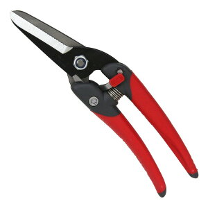 `J}T O[2000 JP|2000 |  