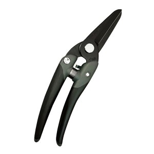 `J}T t[Xg  JP|2000FBK |  