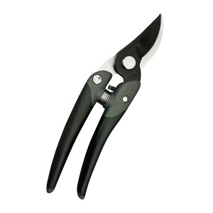 `J}T t[Xg v[i[ JP|3000FBK |  