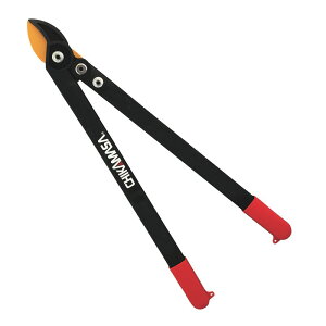 �`�J�}�T �{�̓��b�p�[�v�� �����O LP�|650 ���|���� ������ ���}