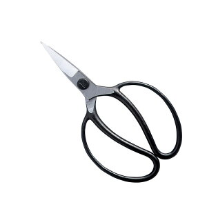 P AC|2^ NO.203 |  A ~