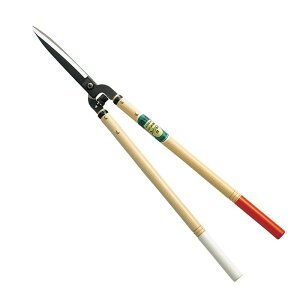 P  60^NbV NOD205K |  ؕ