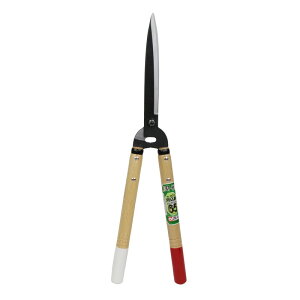 P  65^V[g NOD231 |  ؕ