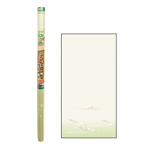 ATqy EXAC\ӂ܎2 NOD202 EJ z Z ӂ q