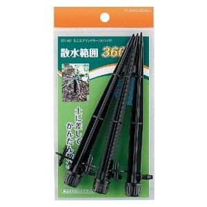 JN_C ~jXvN[3 577|401   z rpi ̑Upi