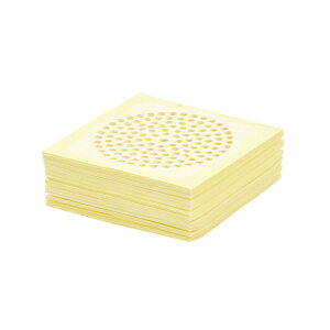 GAONA pwA[Lb`[ GA|FW009 100mm   z rpi oXpi