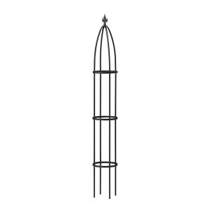 ^JV[ IxXNX V[g GSTR|RC15S | |pi ƒ뉀| K[f IxXN 鐫A o N}`X ȃXy[X K[fjO eX 10 o͔| O[J[