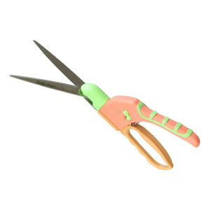 T{e fB[X]Ő NOD1050 |  Ő