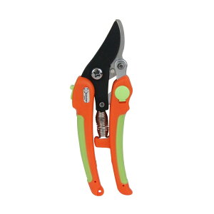 T{e yؙ jp NOD1370 |  