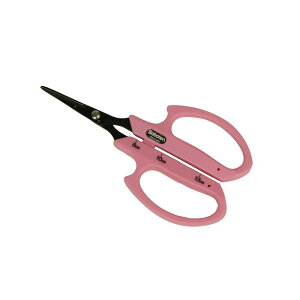 T{e tbfԂǂ B|1FP |  n