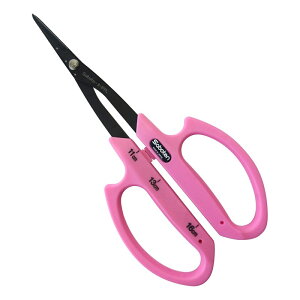 T{e Ԃǂ񒷐גn NoDB|1FPL |  n