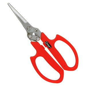 T{e 3nE NoDAG|18 |  n