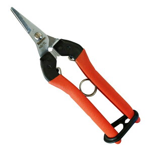 T{e ՌzE p NoDAG|7L |  n