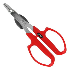 T{e  eRt NoD5|B |  G