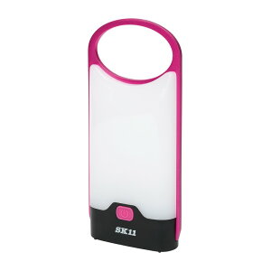 SK11 drX^ SLT|100DB|PK dH  x hƓ  ւ