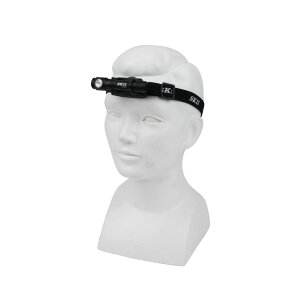 SK11 drLEDwbhCg SLH|008 dH  x hƓ wbhCg