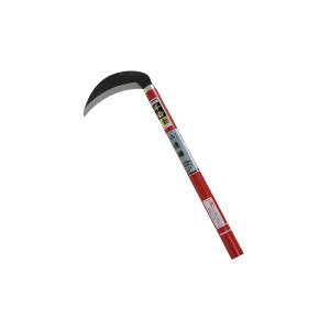 g  񓿊 170MM |   |  _ |pi K[fjO     }؂  n ʕ      _ AEghA