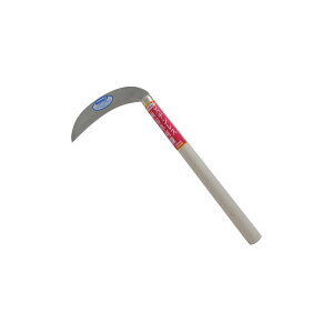 E|Value XeXn 180 EG|650 |  XeX