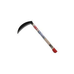 g n p^ 195MM |   |  _ K[fjO |     }؂  n ʕ      _ AEghA