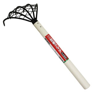 g E҂܂ A~cL | ڐARe N}f