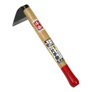 g ~jЎL L noq | ڐARe ЎL