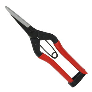 g K[f uX^[ SGP|45B |   | K[fjO    A } t  G  _ | ƒ؉ DIY H  n ؂ꖡ ϋv