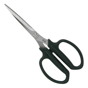 g K[fjOLbvtn SSP|21 |  |