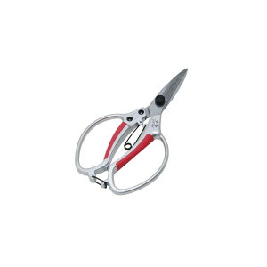 g A~A ʐn SGP|5NS |  A ~ | A~ A ʐn  K[fjO | d A   } t 荞  eiX ֗ g