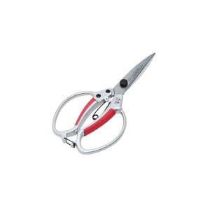 g A~A n SGP|6NS |  A ~