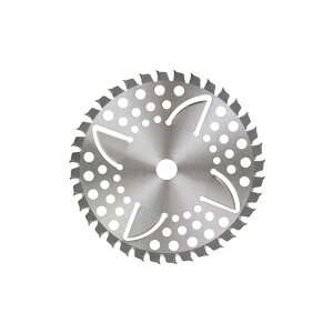 ZteB[3 `bv\[itጸj 230mmx36P |@ @ @i`bv\[j