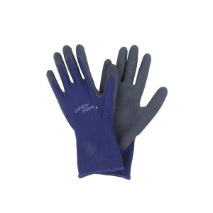 ZteB[3 Snɂ NVS|M |pi ی ⏕ | rJo[