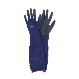 ZteB[3 Snɂ NVL|S |pi ی ⏕ | rJo[