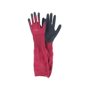 ZteB[3 Snɂ REL|S |pi ی ⏕ | rJo[