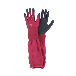 ZteB[3 Snɂ REL|M |pi ی ⏕ | rJo[