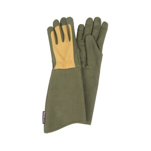 ZteB[3 gQhɂLG S STS|S |pi ی ⏕ | rJo[