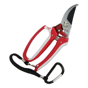 g fB[X SGP|32 |   |  K[fjO | p  p pK[fjO p| fB[X fB[XK[fjO