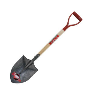 E|Value ؕۃVxin挤j EWS|3 | Vx ؕ