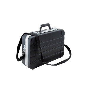 SK11 ABS�P�[�XABST�|428 ABST�|428 ���[�p�i �H�