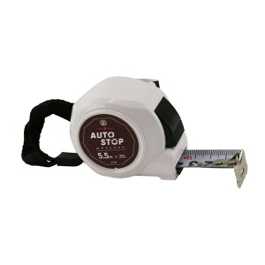 SK11 �f�U�C�����W���[AS SDM�|2555AS ��H���� ����� �����Y�ƃR���x