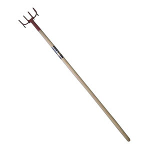 g{ |egtbN 4zc | y_ tH[N