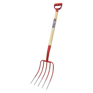 g{ _pz[N 5zc | y_ tH[N