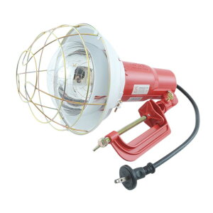 ^CJc  300W dH  x hƓ  ւ