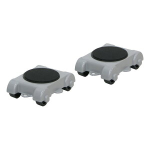 PICUS 炭炭wp[  P|003 ƍH Nv oCX Ƒ