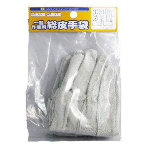 XYLbg Ɨp P|31 dH n kn菤i