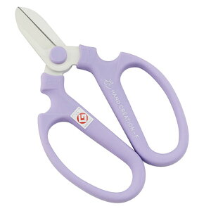 ⌹ nhNG[V F170 wJ^J[