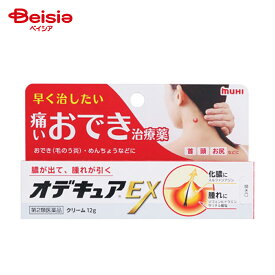 【第2類医薬品】オデキュアEX 12g