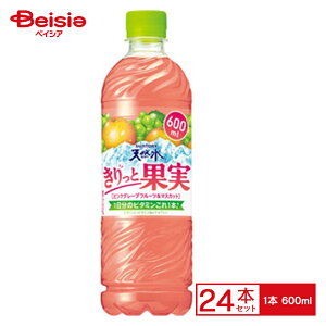 Tg[VR Ɖʎ sNO[vt[c}XJbg 600ml×24 | ܂Ƃߔ Ɩp p P[X̔