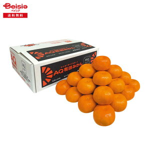 Ε 2025 ~Mtg AQLc݂ HQ 5KGiL`STCYj a̎RJA킩 蕨 Gift  153-64