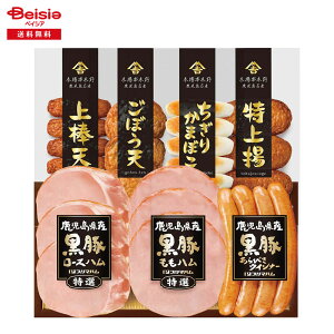 Ε 2025 ~Mtg b̍ v}n ① 蕨 Gift  020-70