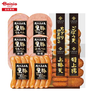 Ε 2025 ~Mtg b̍ v}n ① 蕨 Gift  022-70